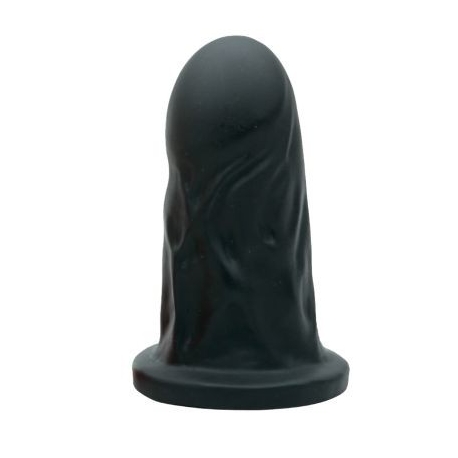 Mister univers