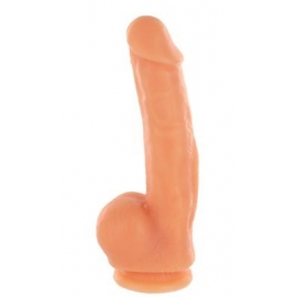 The Perfect Penis