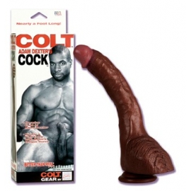 Colt Adam Dexter Cock