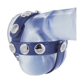 Coq bleu cuir et harnais de boule