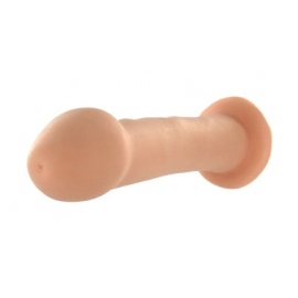 Beginner Brad 6.5 Inch Dildo with Suction Cup