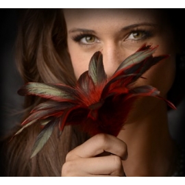 GreyGasms Scarlet Plume Feather Tickler