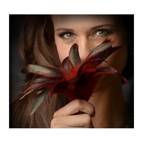 GreyGasms Scarlet Plume Feather Tickler