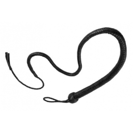 Fouet de 4 pieds de stricte en cuir
