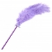 Frisky Feather Tickler