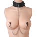 Collier de soumission et de raccord Clamp Union