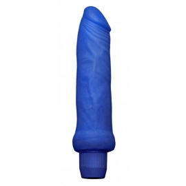 The 8-Inch Jelly Dildo Vibrator